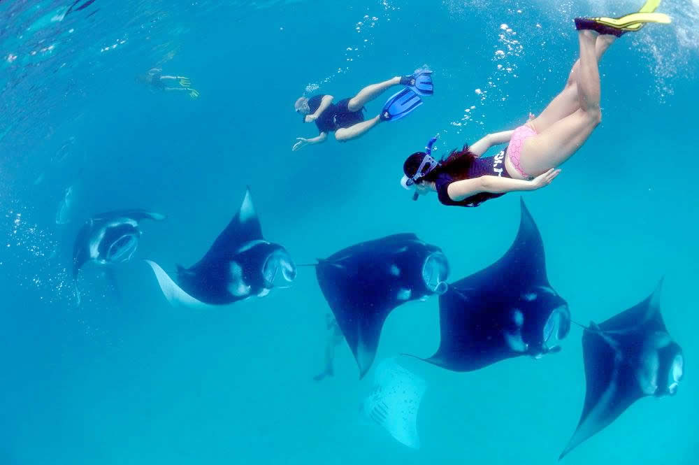 Snorkeling Trips