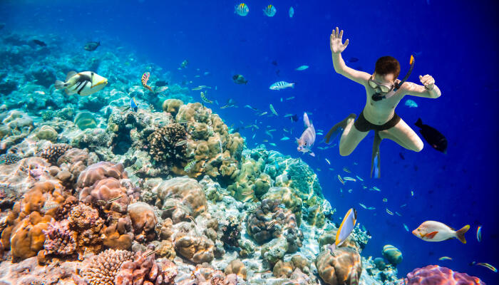reef snorkeling