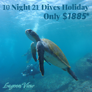 10 Days 21 Dives Holiday (web)