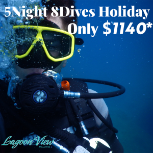 5 Nights 8 Dives Holiday (web)