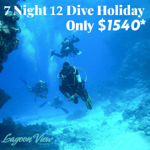 7 Night 12 Dive (web) 7 Night 12 Dive (web)